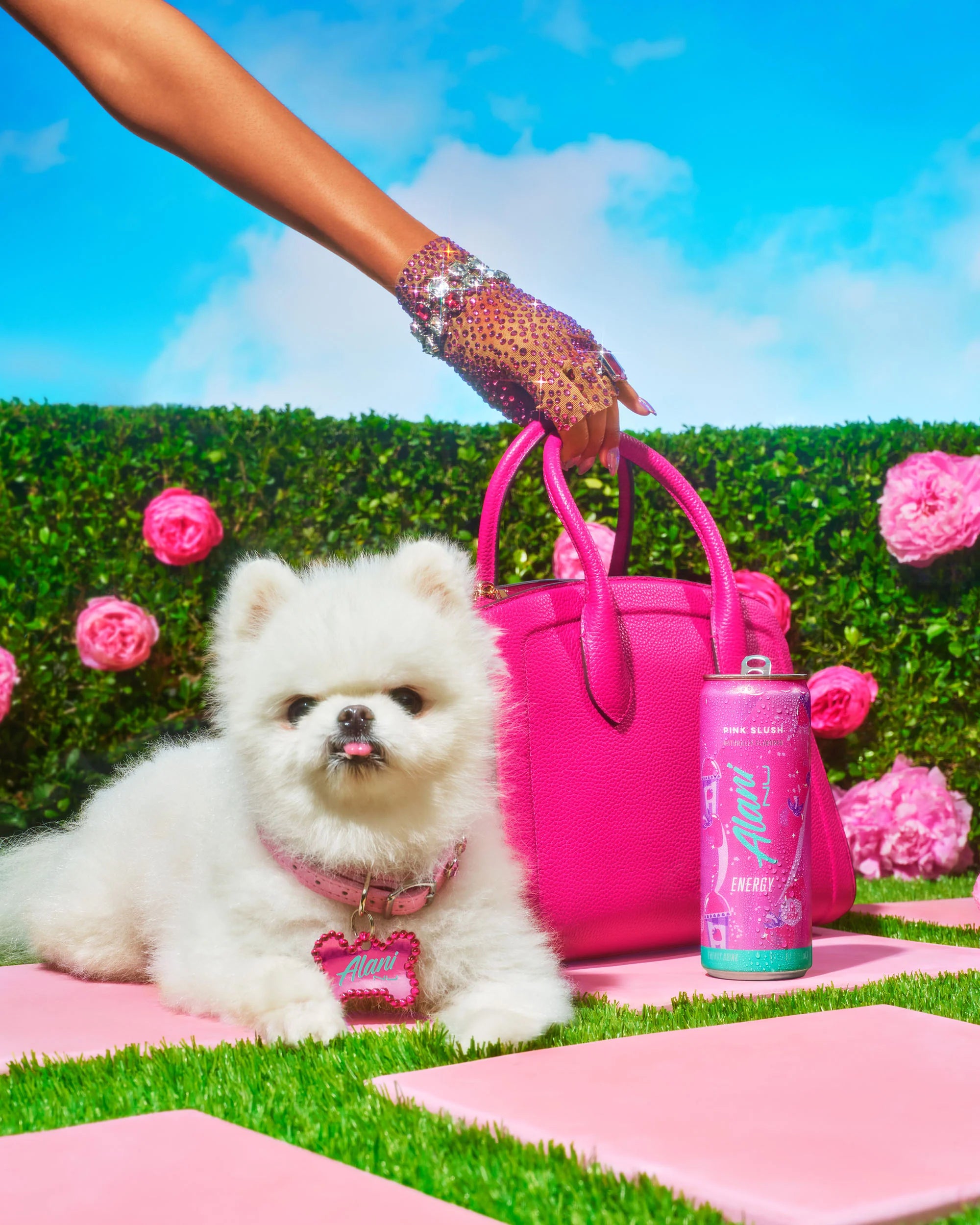 Energy Drink - Pink Slush - Image 2